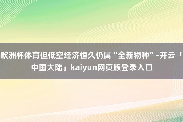 欧洲杯体育但低空经济恒久仍属“全新物种”-开云「中国大陆」kaiyun网页版登录入口